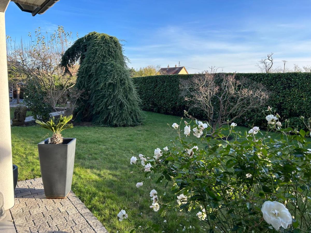 Grande Maison Au Calme Ensisheim Eksteriør bilde